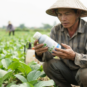 doc-nhan-thuoc-bao-ve-thuc-vat-the-nao-de-tranh-dung-sai-doi-tuong-cay-trong