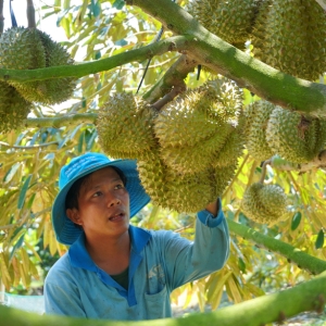 truong-trang-noi-cung-cap-vat-tu-nong-nghiep-chinh-hang-tai-vinh-long